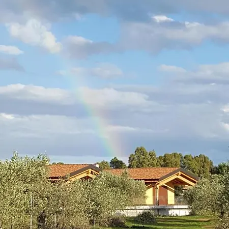 Corte Degli Ulivi Bauernhof Capoterra