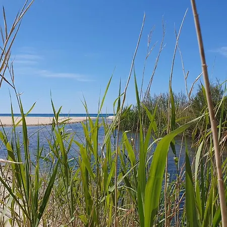 Corte Degli Ulivi Farm stay *