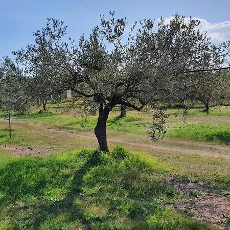 Corte Degli Ulivi * Capoterra
