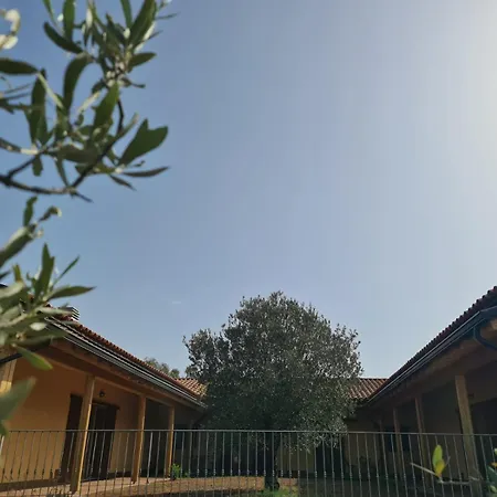Corte Degli Ulivi Séjour à la ferme Capoterra