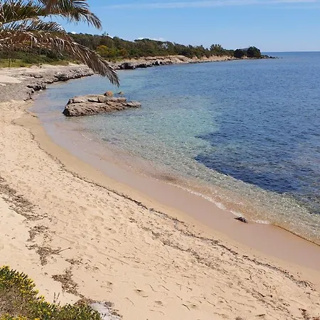 ファームステイ Corte Degli Ulivi *