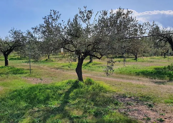 Corte Degli Ulivi * Capoterra